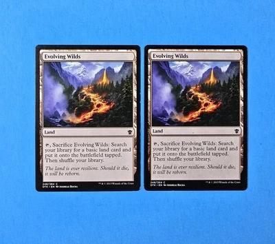 2x Evolving Wilds Dragons of Tarkir 2015 DTK Mtg Magic Gathering Land Card 248 - Image 1 of 2