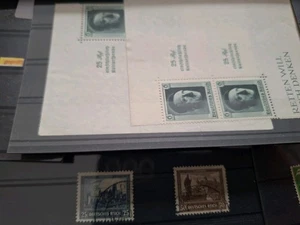 Deutsches Reich, umfangreiches Lot auf 50 Steckkarten **/*/o, hoher Michelwert 9 - Picture 1 of 10