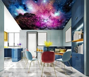 3D Fantasy Galaxy G4292 Ceiling WallPaper Murals Wall Print Decal Deco Erin 2023 - Picture 1 of 5
