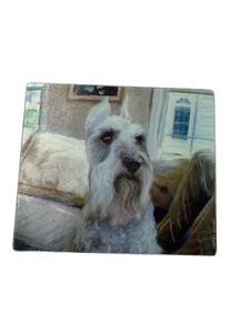 Tabla de cortar SCHNAUZER vidrio Robert McClintock miniatura cachorro plato caliente remache - Imagen 1 de 6