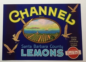 Channel Lemons Crate Label - Picture 1 of 1