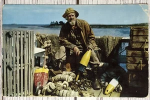 Old Salt New England Coast Lobstermen Lobster Trap Fisherman Maine Postcard - Picture 1 of 2