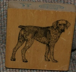 Galería de sellos puntero alemán de pelo corto sello de perro montaje en madera NUEVO envío rápido - Imagen 1 de 2