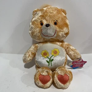 Carebears friend bear vintage plush 2002 13" w Care Bear - Picture 1 of 6
