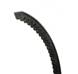 XPB1850 PIONEER Cogged Wedge Belt - Picture 1 of 1