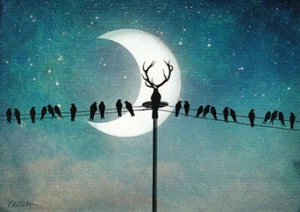 HALLOWEEN / POSTKARTE POSTCARD CROSSING GRUSSKARTE © CATRIN WELZ-STEIN - Bild 1 von 2