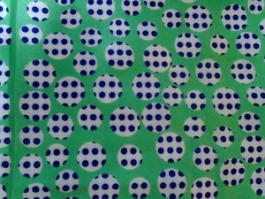 Vera with Ladybug Green White & Black Ladybug Design 100% Silky Polyester Scarf  - Picture 1 of 11