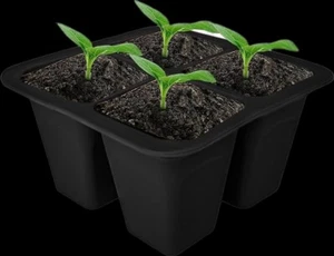 (10pk) 4 Cell Plastic Seedling Tray Reusable Garden Homegrown Seeds Vegetable - Picture 1 of 3
