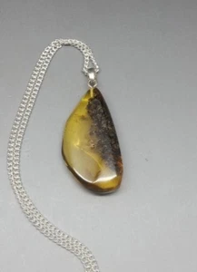 Collar colgante de ámbar báltico natural genuino de 2,8 gramos amarillo con musgo - Imagen 1 de 6