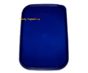 1 Tupperware Sello de Repuesto Modular Mates Rectángulo Negrita N Azul Parte 1610 NUEVO - Imagen 1 de 1