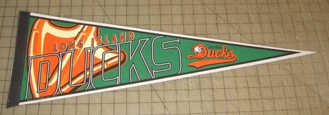 2000s Long Island NY DUCKS 24" Pennant - Minor League Baseball Atlantic League Cover