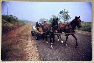 Belize Mennoniten auf dem Weg zum Markt - Vintage Postkarte - Bild 1 von 2