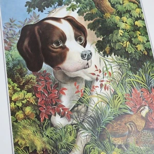 Currier and Ives Vtg Print Pointing A Bevy Hunting Dog Quail Nature Floral Decor - Picture 1 of 6