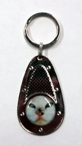 Llavero opticá carbonífero gato 100 x 40 mm - Imagen 1 de 1