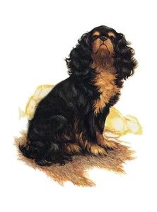 KING CHARLES SPIELZEUG SPANIEL HUND GRUSS NOTIZKARTE SCHÖN SCHWARZ & HELLBRAUN HUND SITZEND - Bild 1 von 1