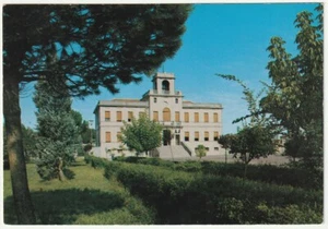 CONTARINA - ROVIGO - PIAZZA REPUBBLICA -47236- - Foto 1 di 1