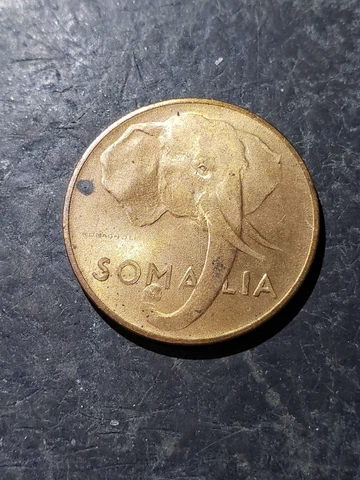 1950 SOMALIA 5 CENTESIMI ELEPHANT COIN #oct302 Cover