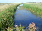 Photo 6x4 Drainage channel on Higham Marshes Higham Marshes with their wa c2012