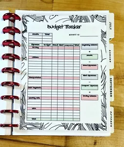 Monthly Budget Spending Tracker Dashboard Insert 4 use w/ Classic Happy Planner - Picture 1 of 3