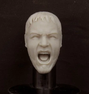 #2 RUSSELL CROWE "GLADIATOR" 3D PRINT CUSTOM RESIN HEAD SCULPT 1/6 scale - Picture 1 of 4