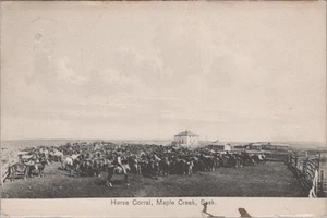 Postal Horse Corral Maple Creek Saskatchewan Maple Creek 1909 - Imagen 1 de 2