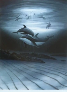 Wyland "Dolphin Affection" Hand signed Limited Edition Sea Ocean Lithograph COA - Picture 1 of 5