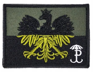 262 POLNISCHE ARMEE ADLER TARNMUSTER AUFNÄHER PW GROM - FLAGGE VON POLEN - Bild 1 von 3