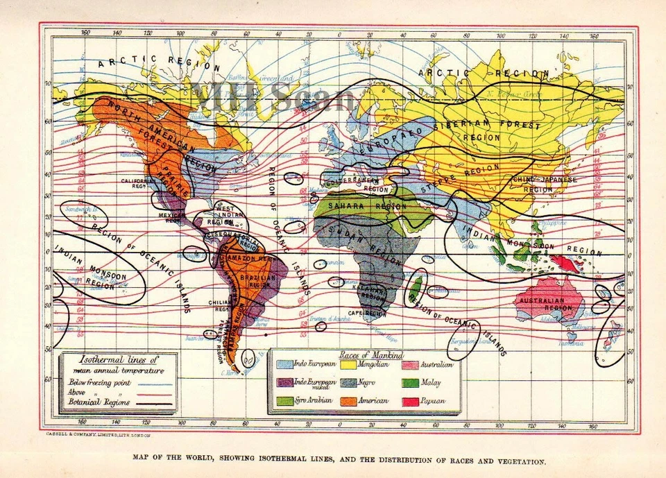 MAPA DEL MUNDO Líneas Isotérmicas Distribución de RAZAS Mapa Antiguo Original c1890 Foto 1 de 1