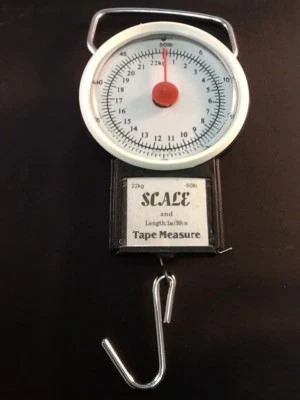 Cinta métrica colgante equipaje báscula de viaje pesca peces Foto 1 de 4