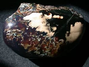 Beautiful BLUE Creamy White AMBER Fossil Gemstone GIANT 364 grams with Tubules - Picture 1 of 12
