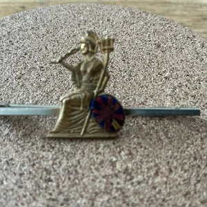Royal Norfolk Regiment Lapel Pin Military Badge - Picture 1 of 2