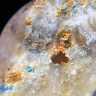 Variété micro mimite cristal Bellite puissante mine Sierra Gorda CHILI