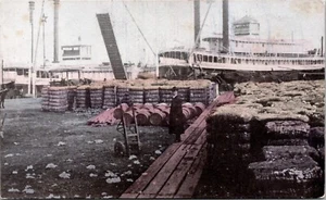 Cotton Wharf New Orleans handgetönte Postkarte - Bild 1 von 2