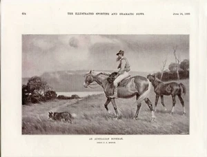 AUSTRALIAN SHEPHERD DOG WORKING Antique Dog Print - 1900 - Percy F S Spence - Picture 1 of 2