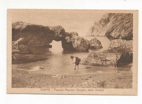 Foto 1 di 2