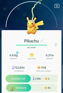 Pokemon Go Pikachu mit Blumen Kontowiederherstellung Handel - Bild 1 von 1
