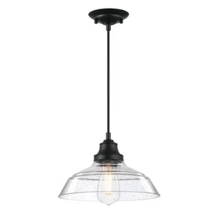 Westinghouse Iron Hill 1-Light Matte Black Shaded Pendant w/ Clear Seeded Glass - Picture 1 of 6