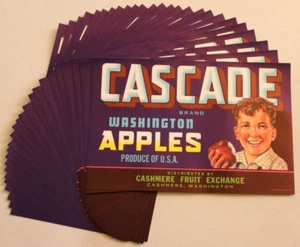 Original 25 CASCADA media caja manzana cajas etiquetas cachemir WA niño al por mayor - Imagen 1 de 2