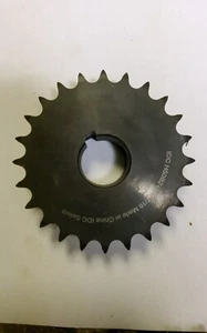 Serie 50 Pignone 1-7/16" Foro Chiave, 24 Denti, H50B24F1716KW - Foto 1 di 1
