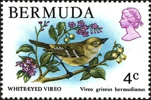 BERMUDA - 1978 - Bermuda White-eyed Vireo (Vireo griseus bermudianus) -- Sc.#364 - Picture 1 of 1