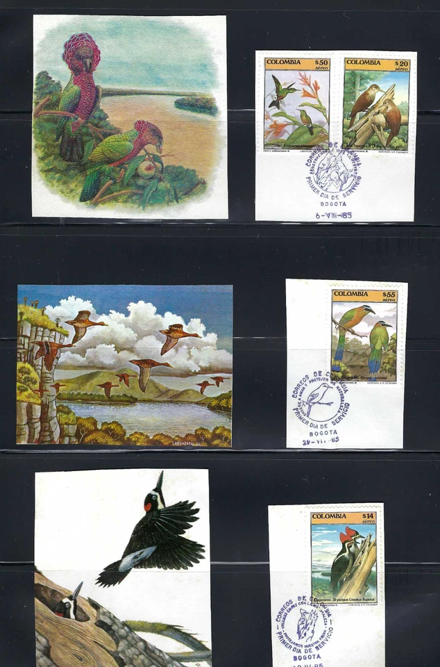 BIRDS- MARCOFILIA.-COLIBRI- AVES TREPATRONCOS.-LOROS- CARPINTEROS.- CONDOR   COL - Image 1 of 2