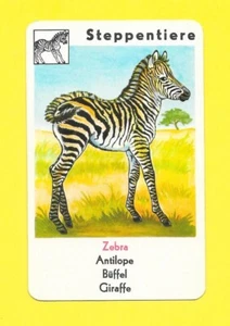 Carte allemande - Steppentiere - Zebra - Picture 1 of 2