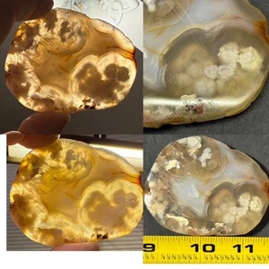TOP QUALITY FLOWER AGATE, GREAT INCLUSIONS!, MADAGASCAR - Picture 1 of 17