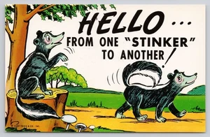 Hello from One Stinker to Another Two Skunks Comic Humor Postcard - Picture 1 of 2