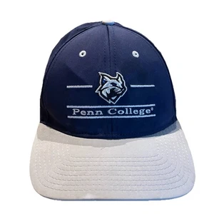 Cappello Berretto Penn College Wildcats The Game Split 3 Bar Strap Williamsport PA - LEGGI - Foto 1 di 8