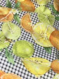 Citrus Fruit Gingham Print By Joan Messmore, Cranston Print Works cotton fabric - Picture 1 of 8