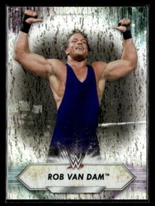 2021 Topps WWE #199 Rob Van Dam - Picture 1 of 2