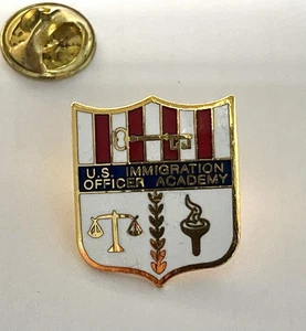 US Customs ICE Immigration Officer Training Academy Pin - Picture 1 of 3