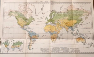 1898 = FLORA NEL MONDO Vegetazione Piante = Antica Mappa = OLD MAP - Foto 1 di 1