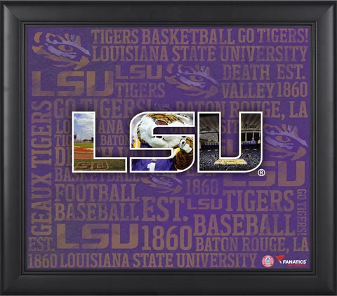 Tigers Framed 15x17 Team Heritage Collage - Fanatics Cover